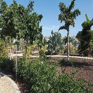 Apartment Bungalows Capri Maspalomas